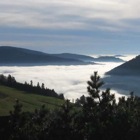 Schoene Aussicht Тодтнау Екстериор снимка