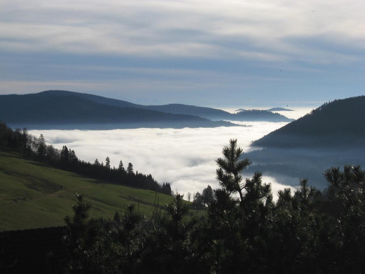 Schoene Aussicht Тодтнау Екстериор снимка