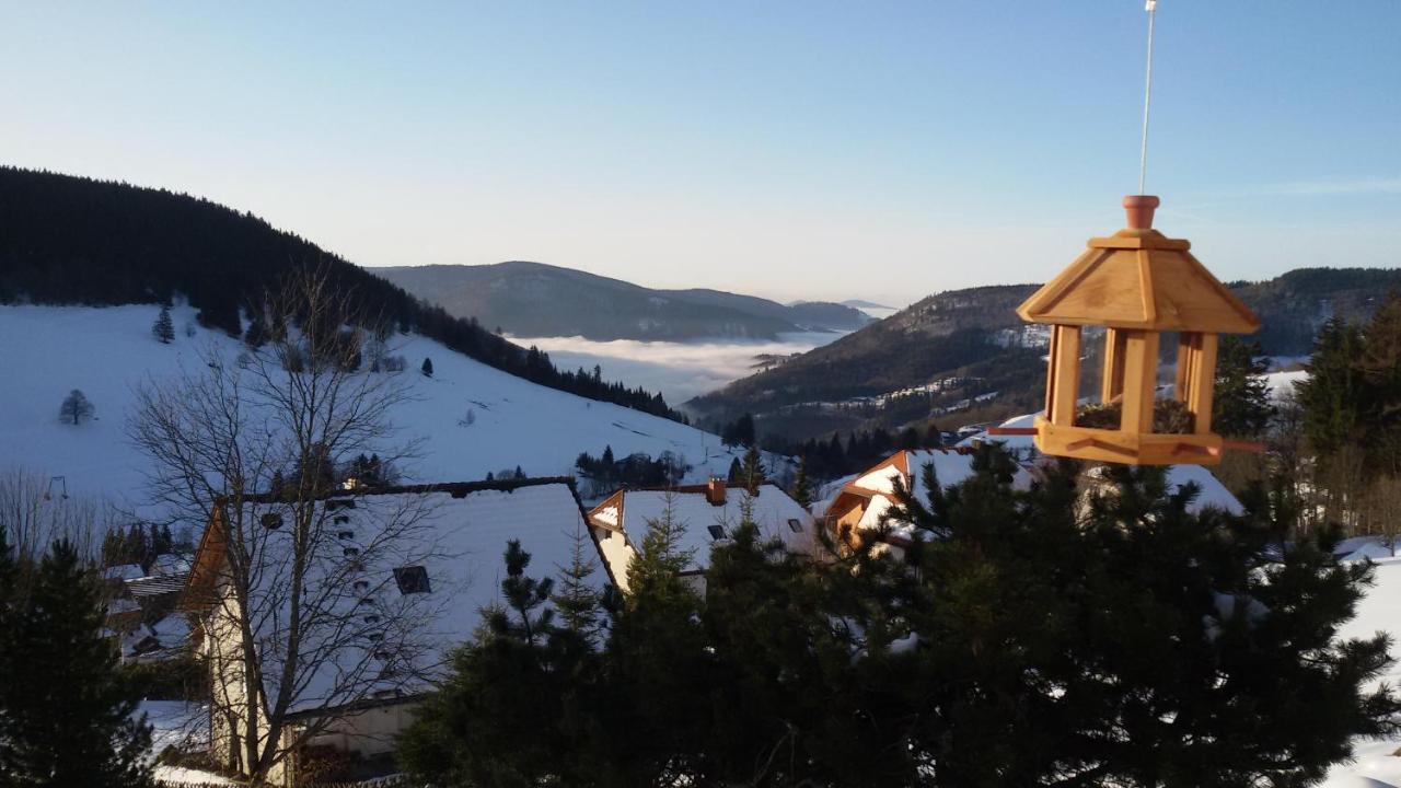 Schoene Aussicht Тодтнау Екстериор снимка