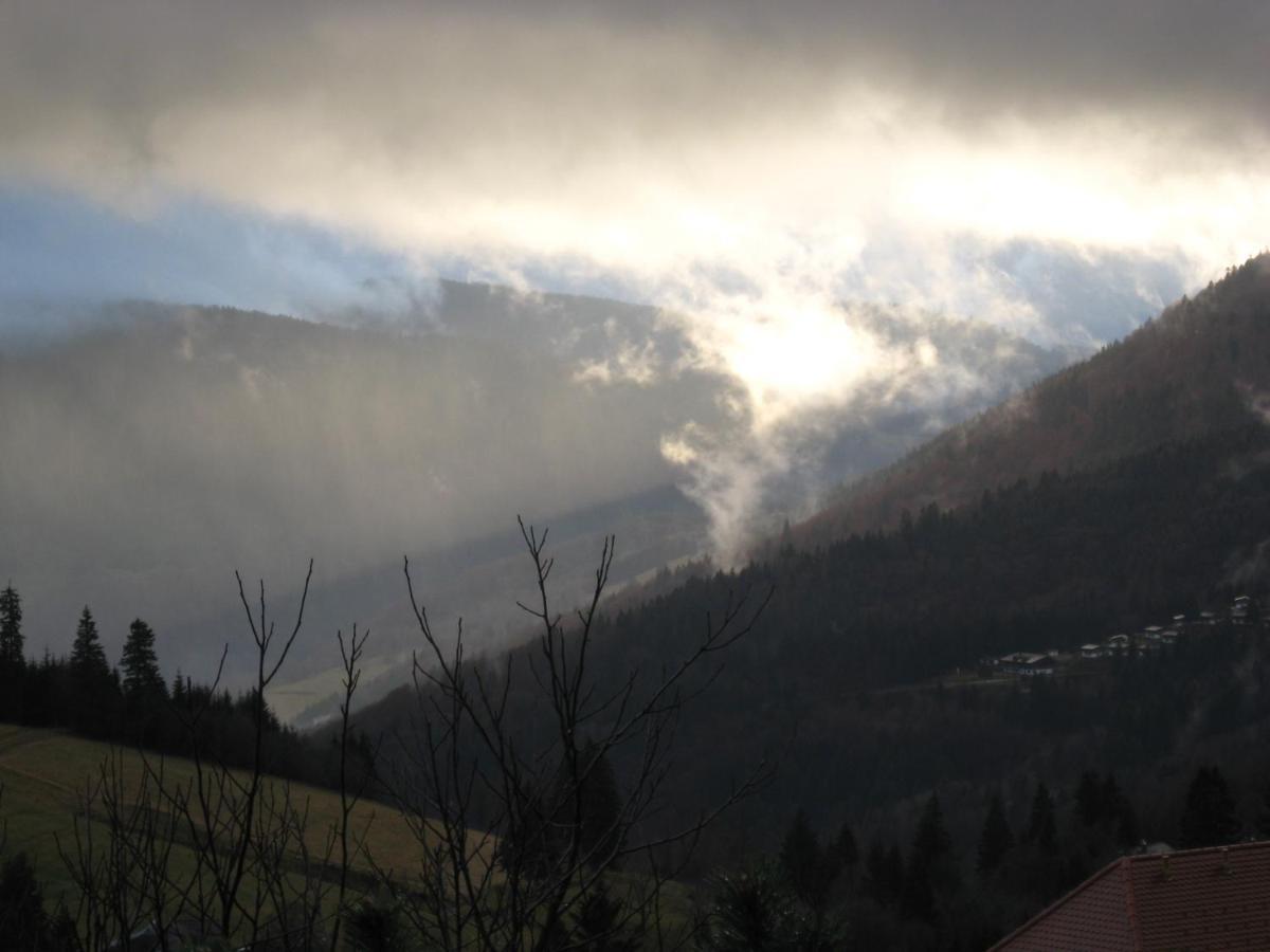 Schoene Aussicht Тодтнау Екстериор снимка