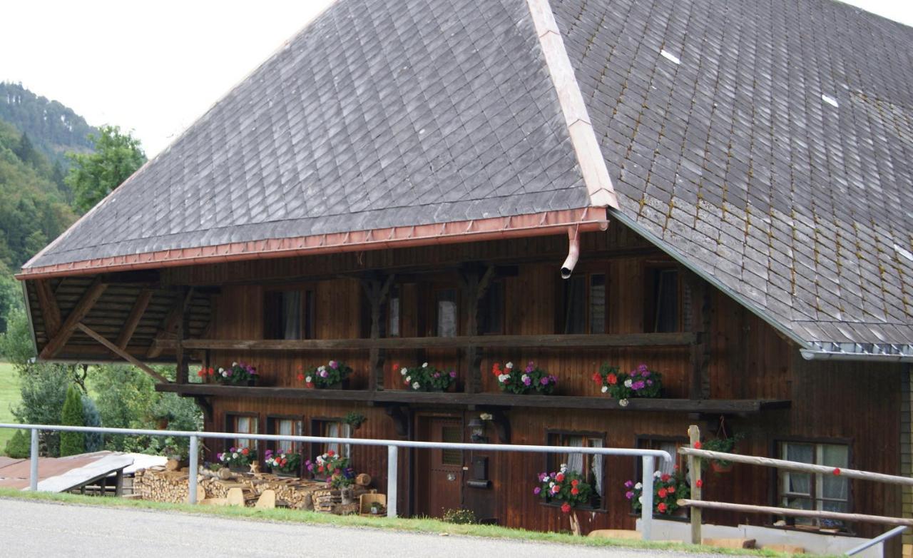 Schoene Aussicht Тодтнау Екстериор снимка