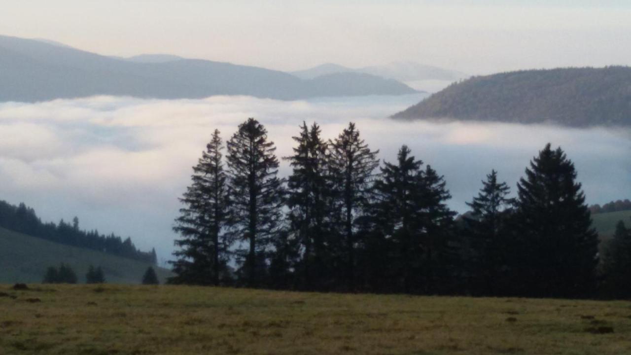 Schoene Aussicht Тодтнау Екстериор снимка