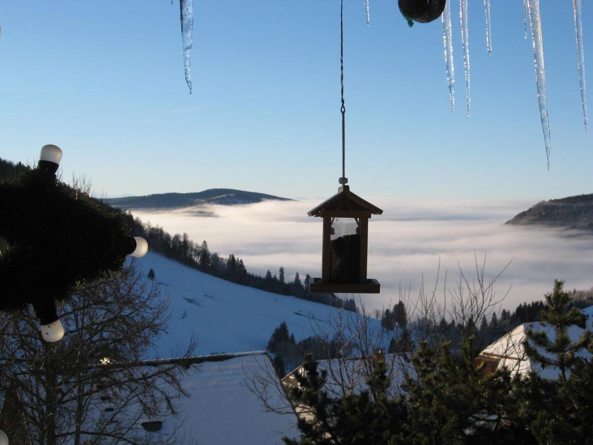 Schoene Aussicht Тодтнау Екстериор снимка