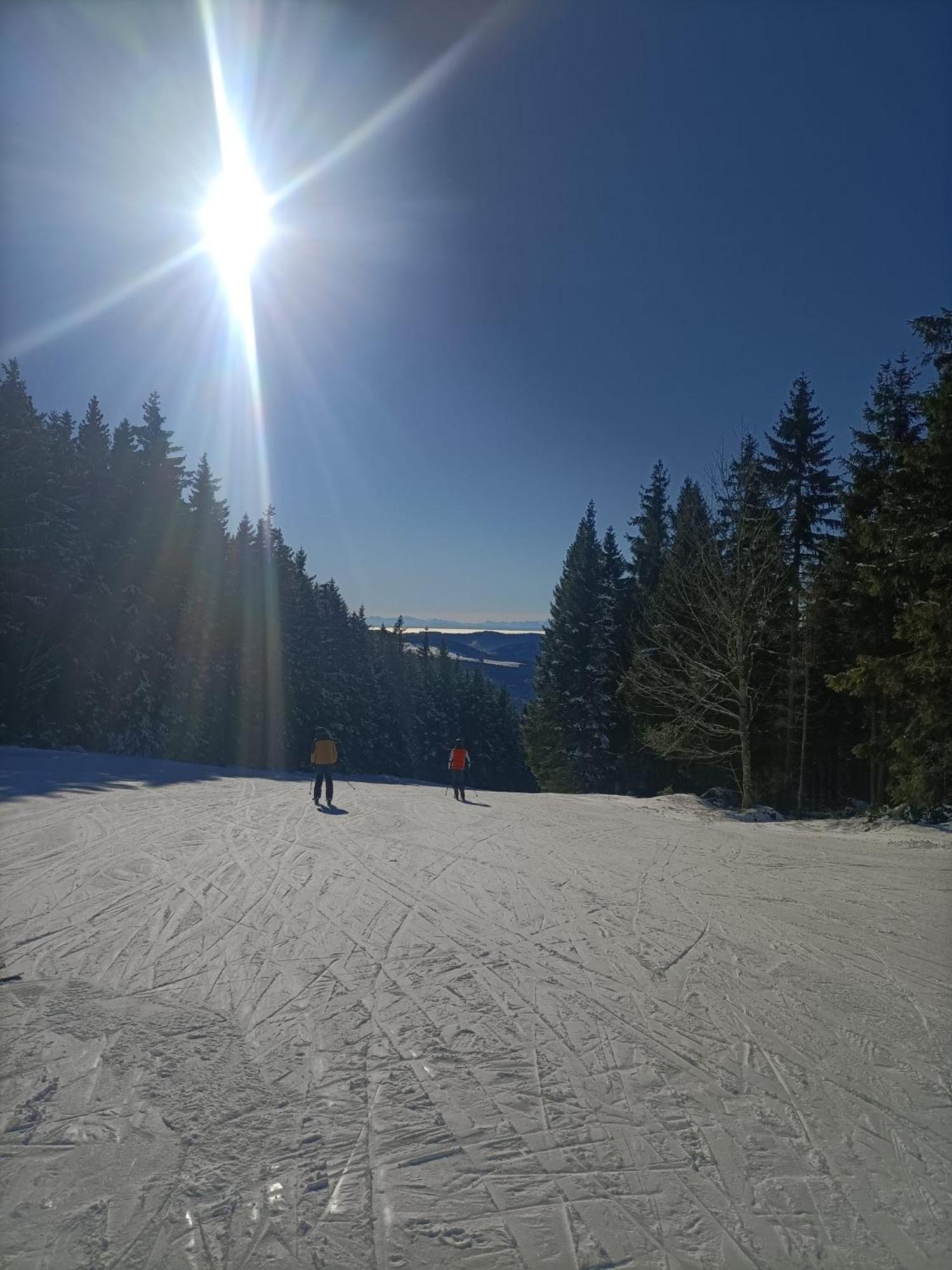 Schoene Aussicht Тодтнау Екстериор снимка